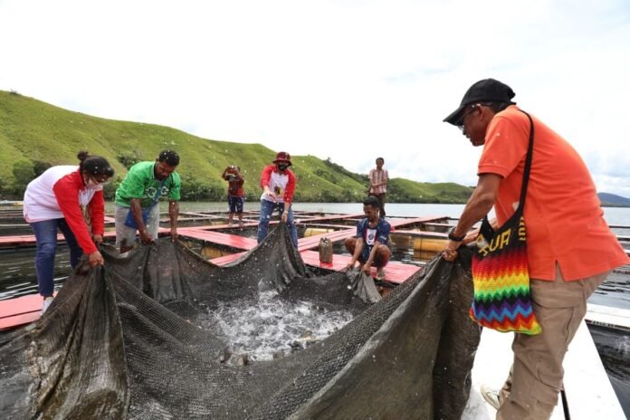 Masyarakat Papua Rasakan Dampak Bantuan Pemerintah untuk Usaha Mandiri