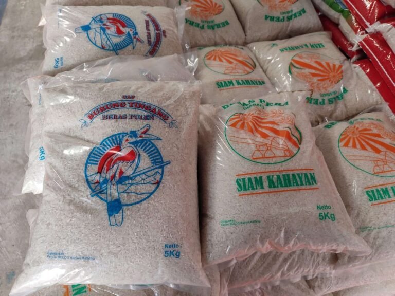 Subsidi Beras 10 Kg Diperpanjang Pemerintah demi Jangkau 33 Juta KPM