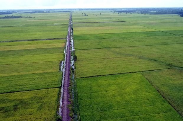 Modernisasi Jaringan Irigasi Jadi Kunci Penguatan Ketahanan Pangan Berkelanjutan