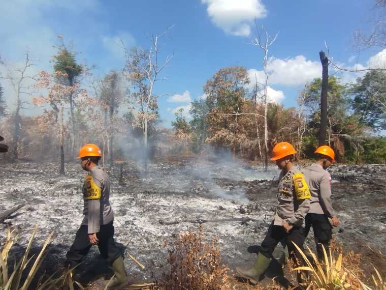 Upaya Pencegahan Karhutla Terus Digencarkan di Wilayah Rawan