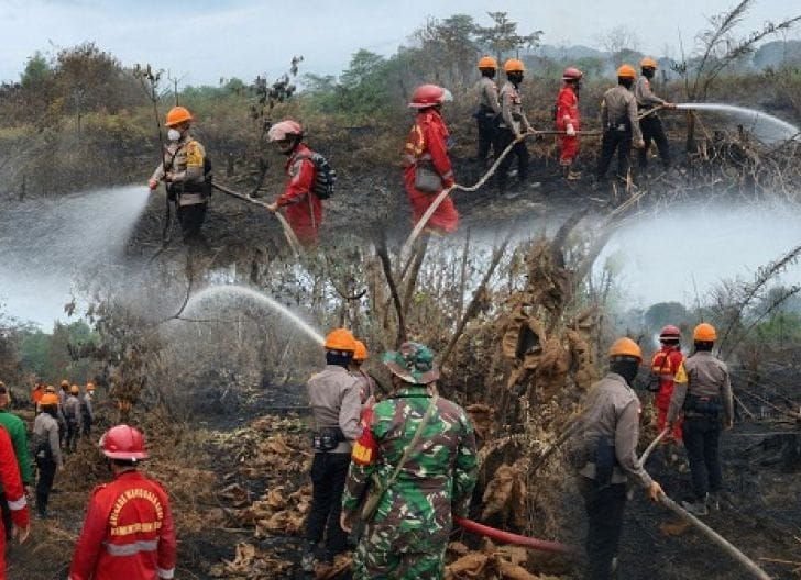 Prabowo Dorong Kolaborasi Lintas Sektor untuk Tekan Risiko Karhutla