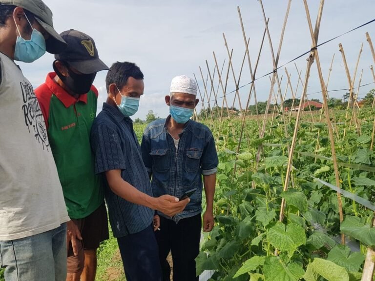 Program MBG Tingkatkan Serapan Hasil Petani dan Peternak