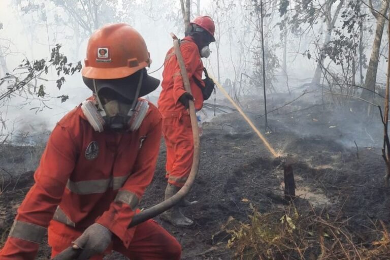 Ancaman Karhutla Meningkat, Pemerintah Maksimalkan Deteksi Dini hingga Pemadaman Udara