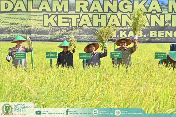 Sinergi Pusat, Daerah, dan Petani Wujudkan Ketahanan Pangan Nasional