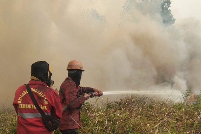 Banpres Karhutla: Perhatian Pemerintah Sampai ke Daerah Terdampak