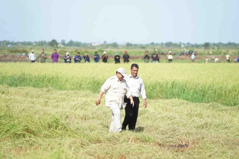 Lindungi Petani dari Gagal Panen, Pemerintah Siapkan AUTP 100 Ribu Hektare