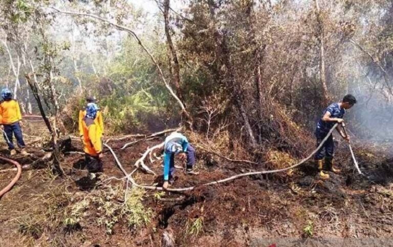 Seluruh Kekuatan Negara Bergerak untuk Memadamkan Karhutla