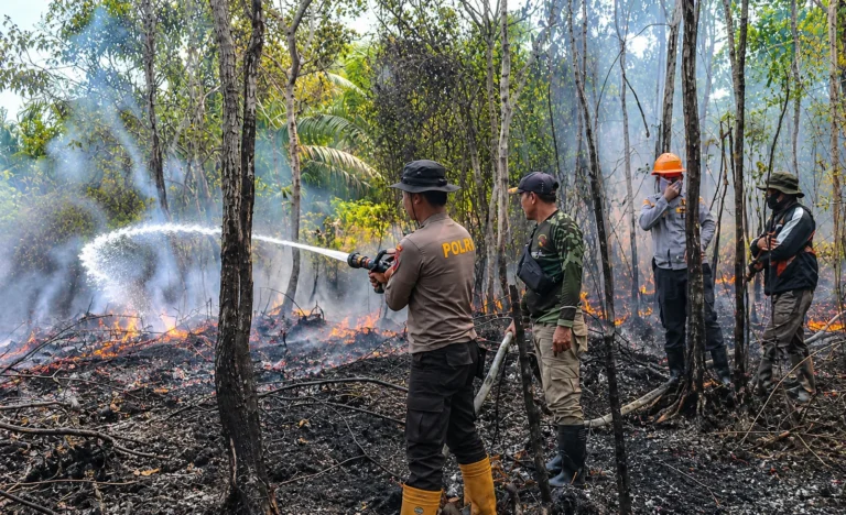 Penanganan Karhutla Melalui Komando Terpadu dari Pusat hingga Daerah