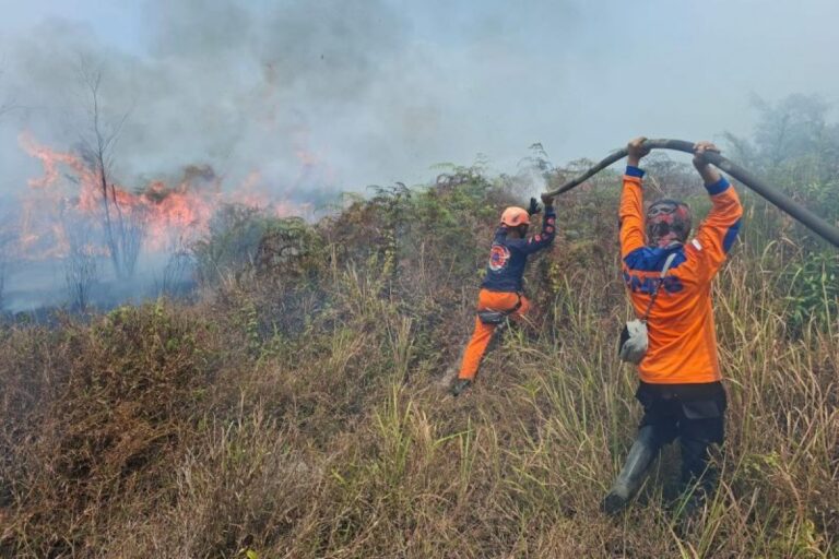Mengawal Penguatan Satgas Darat dan Udara Dalam Penanganan Karhutla Gambut