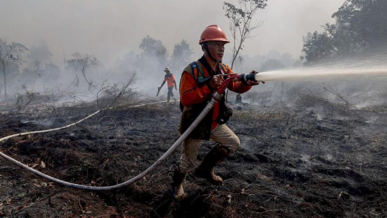 Respons Cepat dan Terpadu Atasi Karhutla di Sejumlah Wilayah